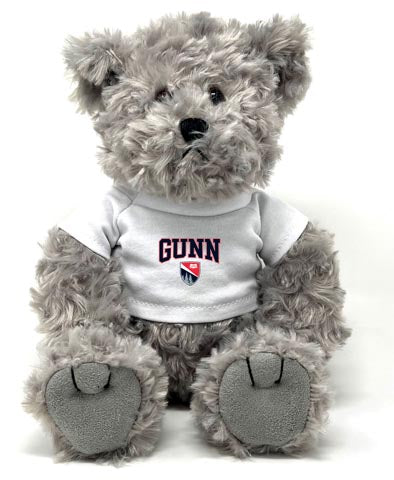 Traditional Bear with T-Shirt